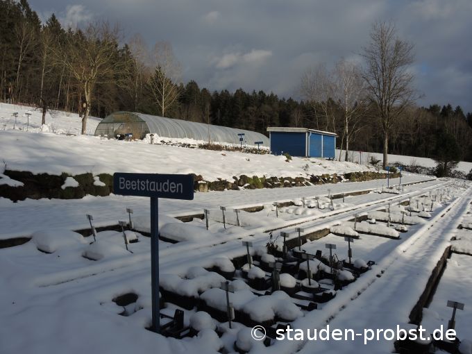 2. Februar