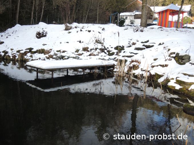 2. Februar