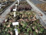 Bilder Februar 2022