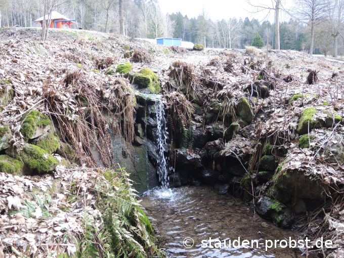 16. Februar