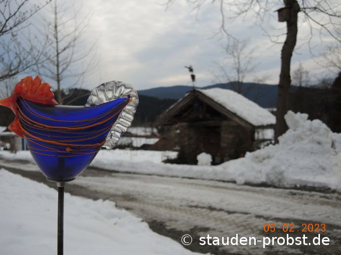 5. Februar
