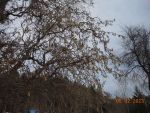 DSCN1033