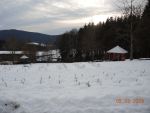 DSCN1036