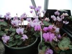 DSCN1061