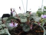 DSCN3643