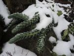 DSCN5855
