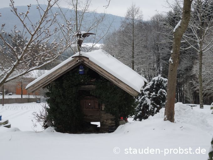 4. Januar