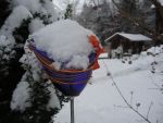 DSCN5877
