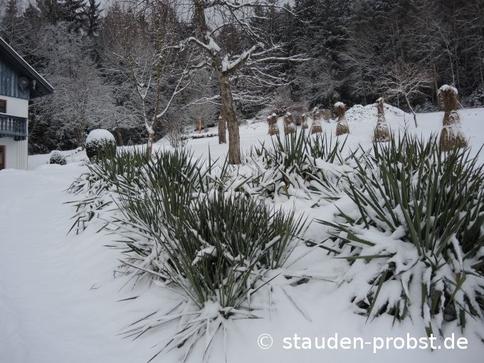 4. Januar