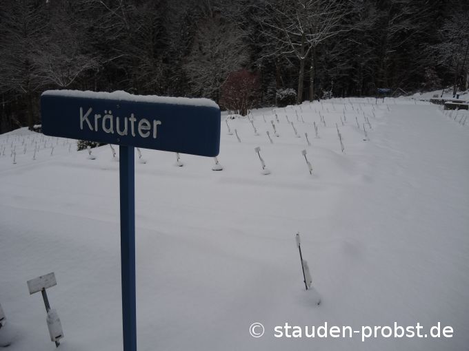 4. Januar