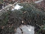 DSCN5821