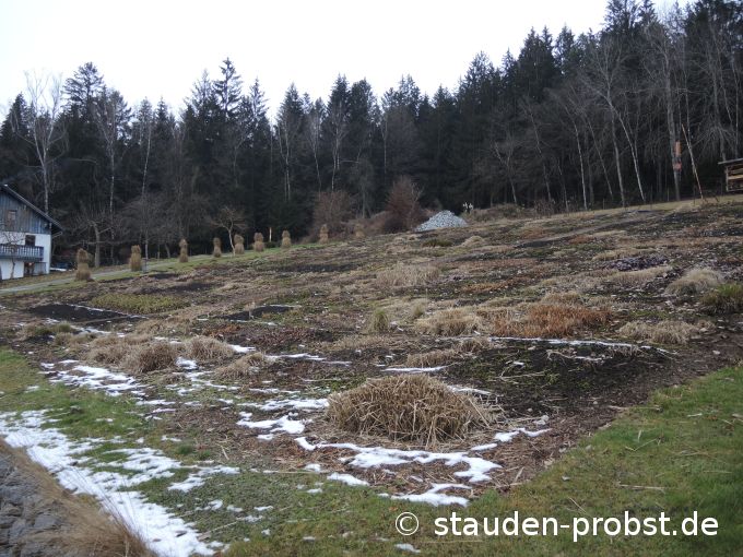 2. Januar