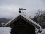 DSCN5917