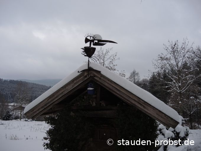 18. Januar
