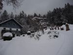 DSCN5921