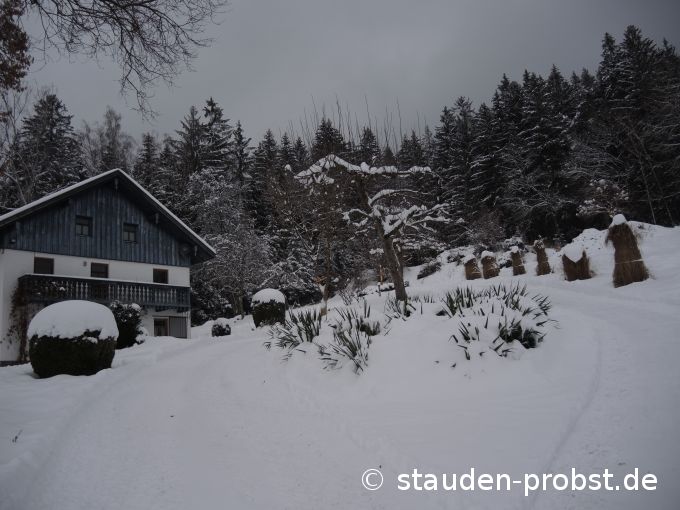 18. Januar