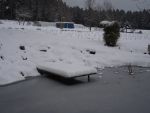 DSCN5962