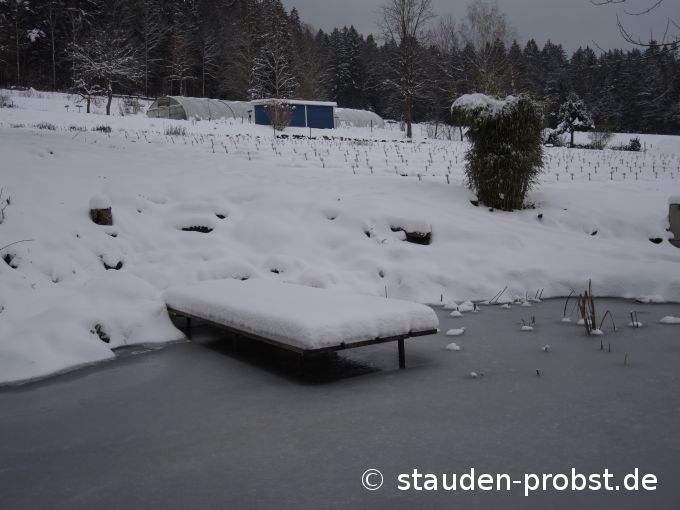 18. Januar