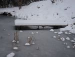 Bilder Januar 2021