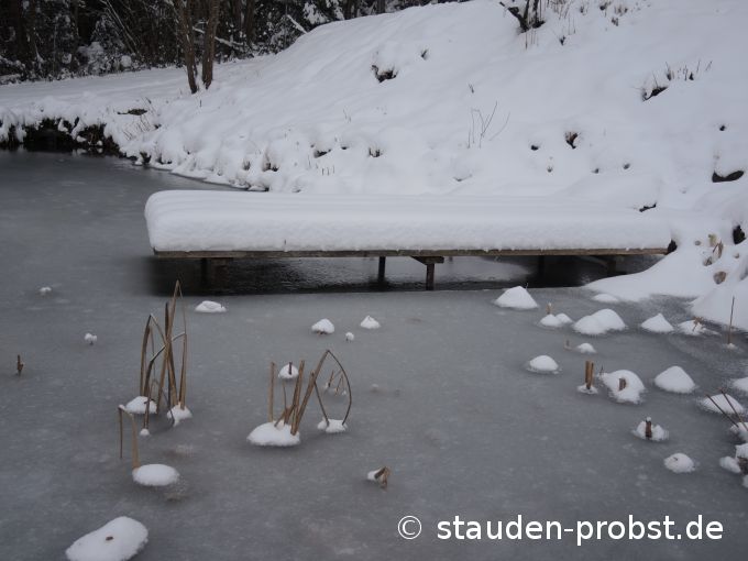 18. Januar