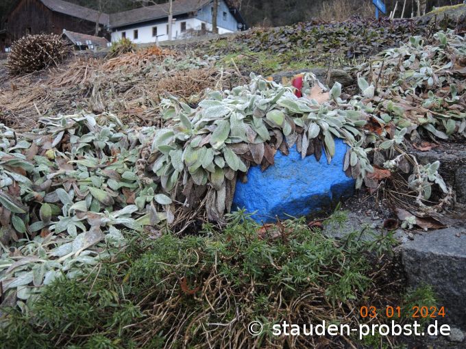 3. Januar