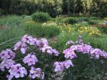 Bilder Juli 2019