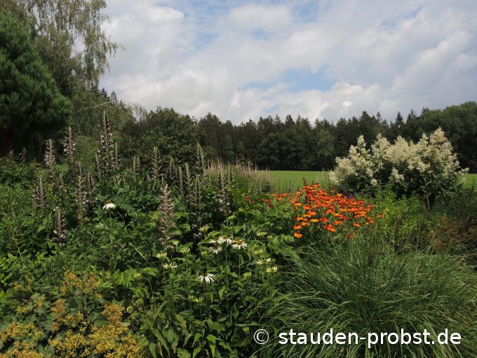 19. Juli