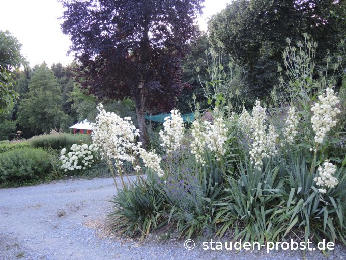 15. Juli