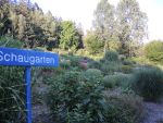 Bilder Juli 2022