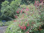 DSCN2235