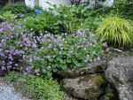 DSCN3832