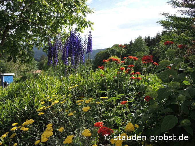 21. Juni