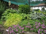 Bilder Juni 2021