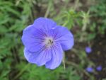 DSCN9108