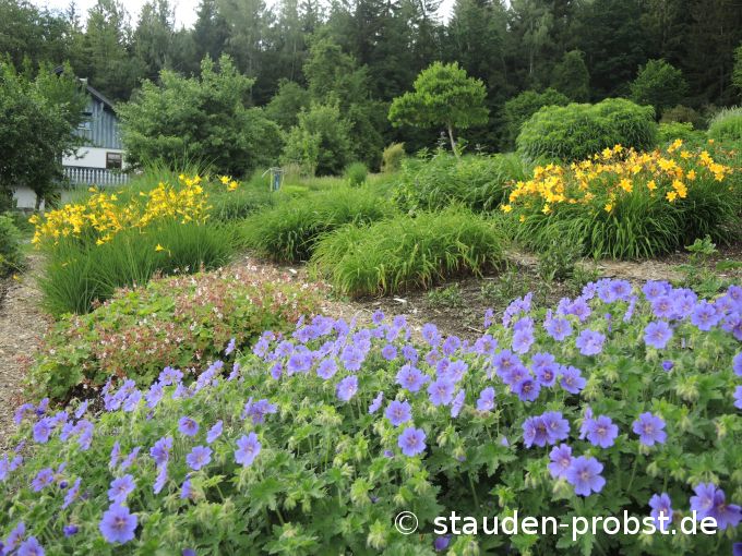 6. Juni