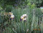 DSCN1656