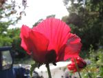 DSCN1662