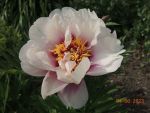 DSCN1680