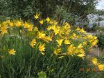 DSCN1685