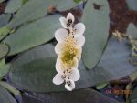 DSCN1692