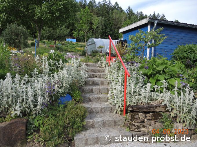 4. Juni