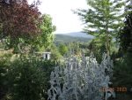 DSCN1841