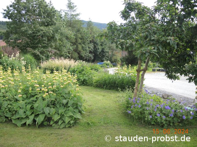 15. Juni