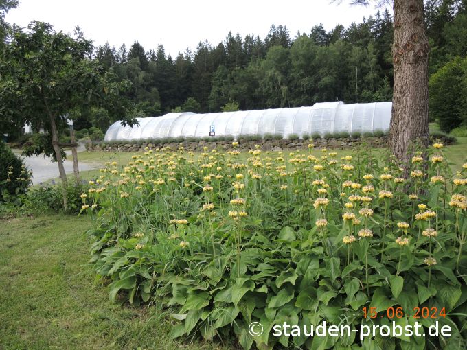 15. Juni