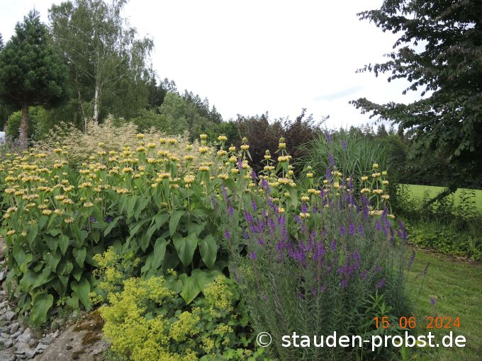 15. Juni