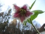 DSCN3177