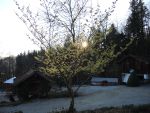 DSCN6238