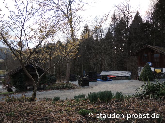 16. März