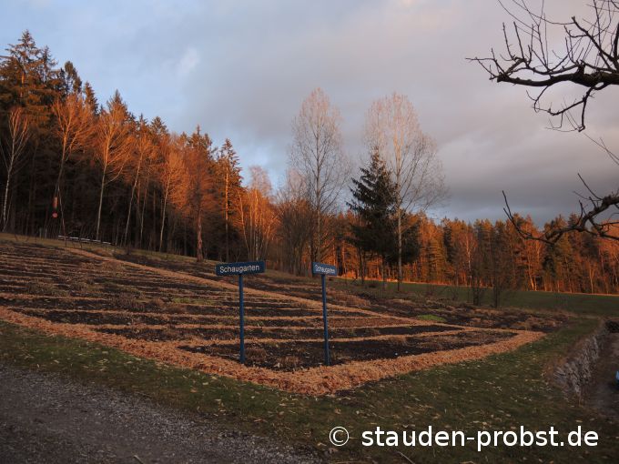 16. März