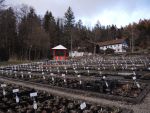 Bilder März 2021